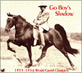 Go Boy's Shadow
