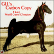 GLL's Carbon Copy