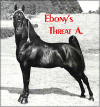 Ebony's Threat A.