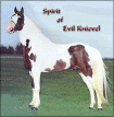 Spirit Of Evil Knieval