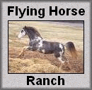 Flying Horse Ranch
