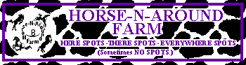 Horse-N-Around Farm - Here Spots, There Spots, Everywhere - SPOTS !  (sometimes, no spots).