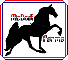 McDodi Farms - For quality Tennessee Walking Horses and TWH services in Texas
